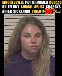 dog groomer mistreats overstimulated dog