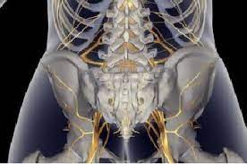 Nyeri punggung atau back pain yang di bahas dalam artikel ini adalah suatu nyeri punggung yang memiliki derajat nyeri tinggi sehi. Sakit Pinggang Ginjal Atau Bukan Halaman All Kompasiana Com