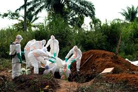 Ebola virus disease is considered to be zoonotic, with occasional spillovers to humans, apes, and possibly other animals. Is Ebola Evolving Into A Deadlier Virus The New Yorker