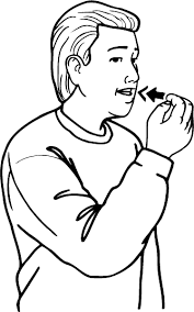 New Zealand Sign Language Te Ara Encyclopedia Of New Zealand