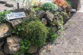 ロックガーデンとは 庭での作り方は horti ホルティ by greensnap 庭 ガーデンプラン ロックガーデン