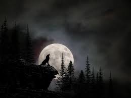 What on earth is everybody waiting for? Moon Moon On The Sky Watch Me Die Wolf And Moon Tattoo Wolf Howling At Moon Wolf Silhouette