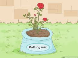 Loam soil is a combination of three different types of soil—sand, silt, and clay—each with their own characteristics. How To Prepare Soil For Roses 8 Steps With Pictures Wikihow