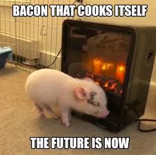 Bacon Fun - This pig must have read the book, &quot;I Want To... | Facebook