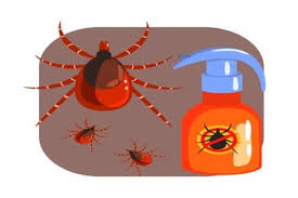 We offer you various kinds of pest management services such as pest control, insect control, termite control, cockroach control, weed control, rodent control services, in dehradun. Toggle Navigation Quick Mistry Our Services Ac Installation Service Split Ac Ac Installation Service Windows Ac Ac Installation Service Ductable Ac Ac Installation Service Inverter Ac Ac Installation Service Cassette Ac Ac Installation