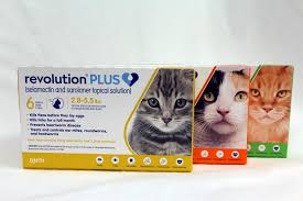 Animal Hospital Biscoe