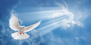 Songs of the dragons flying to heaven premiered in 2006 at here arts center in new york. Lay Your Loved One To Rest With A White Dove Release A Sign Of Peace White Dove Releases