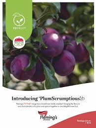 To propagate saffron bulbs in the garden, the bulbs can be dug up and replanted. 2020 01 01 Abc Organic Gardener Pdf Organic Farming Apple