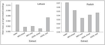 Image result for Microstegium fasciculatum