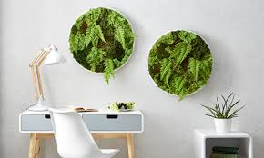 Bewässerung blumentöpfe & pflanzgefäße gartennetz spaten & schaufel blumentöpfe dekoration regale wasserpumpe postfächer andere. Moosbild Selber Machen Momax Blog