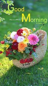 These beautiful flower pictures represent the beauty and freshness of the day with these sweetest flower. Pin By Samad Forghani On Quick Saves In 2021 Good Morning Images Flowers Good Morning Flowers Good Morning Nature
