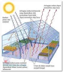 Jika hutan dibakar, akan terbentuk hasil samping berupa gas rumah kaca seperti co2. Jenis Jenis Gas Rumah Kaca