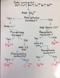 19 Studious Anion Cation Chart