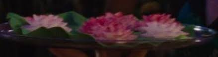Before he could bite into the lotus flower, percy cried out, don't eat that! his voice was louder than he expected i miss you too, dragon. Lotus Flower Riordan Wiki Fandom