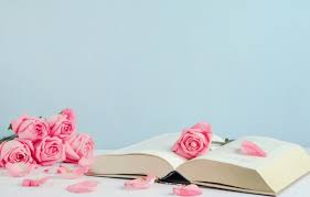 Wallpapers macbook wallpapers ipad spring desktop wallpaper macbook wallpaper trendy wallpaper cute wallpapers pink wallpaper laptop tumblr backgrounds computer backgrounds. Wallpaper Flowers Background Pink Roses Petals Laptop Pink Flowers Petals Roses Laptop Images For Desktop Section Cvety Download