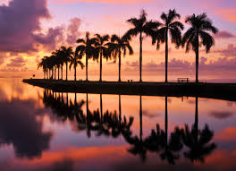 Find hd wallpapers for your desktop, mac, windows, apple, iphone or android device. Miami Computer Wallpaper