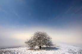 Momento del año en que la diferencia entre día y noche es. Solsticio De Invierno 10 Cosas Que Tienes Saber Sobre El Invierno Que Empieza Ciencia