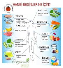 Eklem Panosundaki Pin