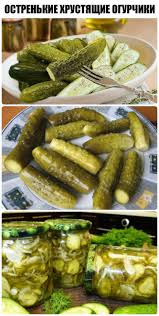 салат из огурцов на зиму без стерилизации зимний король Ostrenkie Hrustyashie Ogurchiki Dostojnyj Variant Iz Serii Ogurcy Na Zimu Canning Recipes Vegetarian Recipes Food