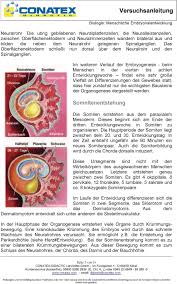 Maybe you would like to learn more about one of these? Menschliche Embryonalentwicklung Pdf Free Download