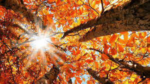 Când se schimbă oră 2018. Agora Se Apropie EchinocÈiul De ToamnÄ Cand Ziua Este EgalÄ Cu Noaptea IatÄ Cand Se Va Schimba Ora