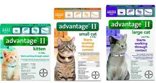 Best Flea Treatments For Cats Top 8 Drops Pills Sprays