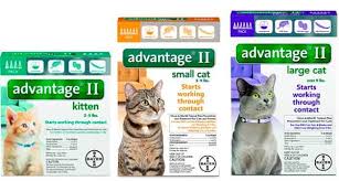 best flea treatments for cats top 8 drops pills sprays