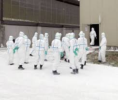 The spread of bird flu types h5n1, h7n9 and h5n6 in china is closely connected to poultry trade networks rather than just wild bird migration, researchers documentary series airing as china battles coronavirus outbreak warns a new flu pandemic is inevitable, and points out it is the country where. Chiba To Cull Record 1 1 Million Chickens After Bird Flu Outbreak The Japan Times