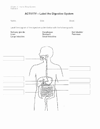 Digestive System Worksheets Middle School Human Body Systems For Kids Worksheets Free Human Bo In 2020 Digestive System Diagram Human Digestive System Digestive System