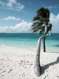 Fashion Me Now Touch Down In Paradise 37 Dream Beach Beach Life Beach