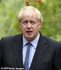 His hair comes from his turkish background where a minority have that strong blonde hair which is quite distinct from nordic blonde which never continues (naturally) after the age of 25. Ex Hairdresser Mp Says Boris Johnson Has Been Dyeing His Hair Daily Mail Online