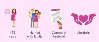 In the high court of south africa gauteng division, pretoria case no: Surrogacy In Thailand Legislation Costs And Debate