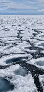 Juli 2015 um 15:00 uhr. Warum Gefriert Warmes Wasser Schneller Als Kaltes The Weather Channel Artikel Von The Weather Channel Weather Com