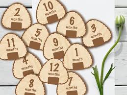 Onigiri Rice Ball Wooden Baby Monthly Milestone Markers & - Etsy