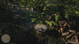 How To Get The Rusted Hunter Hatchet In Red Dead Redemption 2