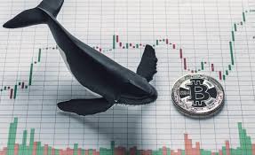 Yes you can do more than 1% a. Bitcoin Trading Secrets How To Wheel Deal Like A Crypto Whale