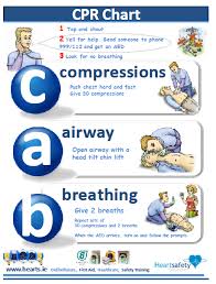 Printable Cpr Chart Related Keywords Suggestions