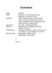 Alle fragen kannst und sollst du in die facebook gruppe schreiben. Deutsch Arbeitsmaterialien Tiersteckbriefe 4teachers De