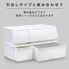 ニトリ 収納ケース nフラッテ 通販 ニトリ 収納 収納 クローゼット 収納