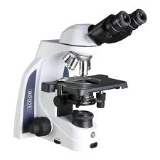 Prospective employees that are not hired may believe they were discriminated. Euromex Microscope Iscope Is 1152 Epli Bino