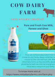 Mr Milk Top Cow Dairy Farm In Pune Dairy Farms Farm Milk Cow