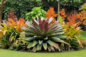 Full menu of spa treatments and therapies available, surrounded by lavish botanical gardens and gorgeous landscaping hot and cold hydrotherapy plunge pools. Miami Landscape Design Lighting Firefly Landscape Contractors