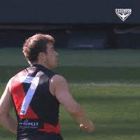 Share the best gifs now >>>. Toby Greene Celebrations Gif By Afl Find Share On Giphy