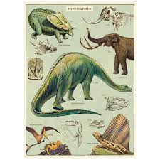 dinosaurs species chart vintage style poster