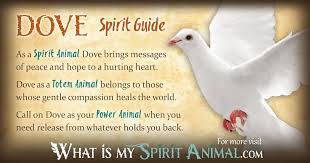 Dove Symbolism Meaning Spirit Totem Power Animal Dove Symbolism Spirit Animal Meaning Animal Symbolism