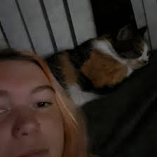 Identify spiked necklace with black wire cords?