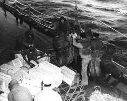 Image result for Gray 1950 Fleet