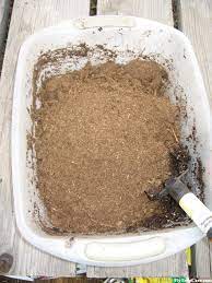 We did not find results for: Venus Flytrap Soil And Potting Techniques Flytrapcare Com