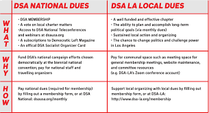 This is the second time a black owned business in my neighborhood has been tagged with this stuff. Dsa La Member Handbook Dsa Los Angeles