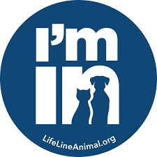 Adoption day is our favorite day at pets lifeline.pic.twitter.com/dno7xkbknh. Pets For Adoption At Lifeline Animal Project In Atlanta Ga Petfinder
